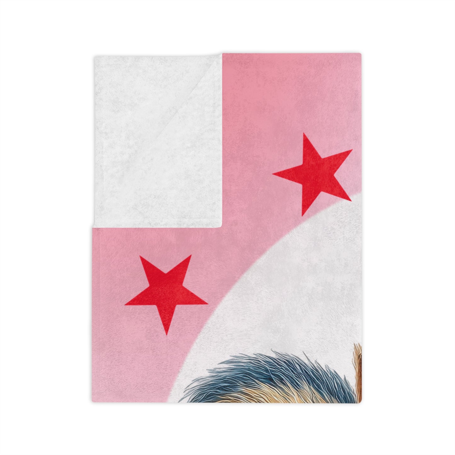 Patriotic Squirrel Velveteen Plush Blanket