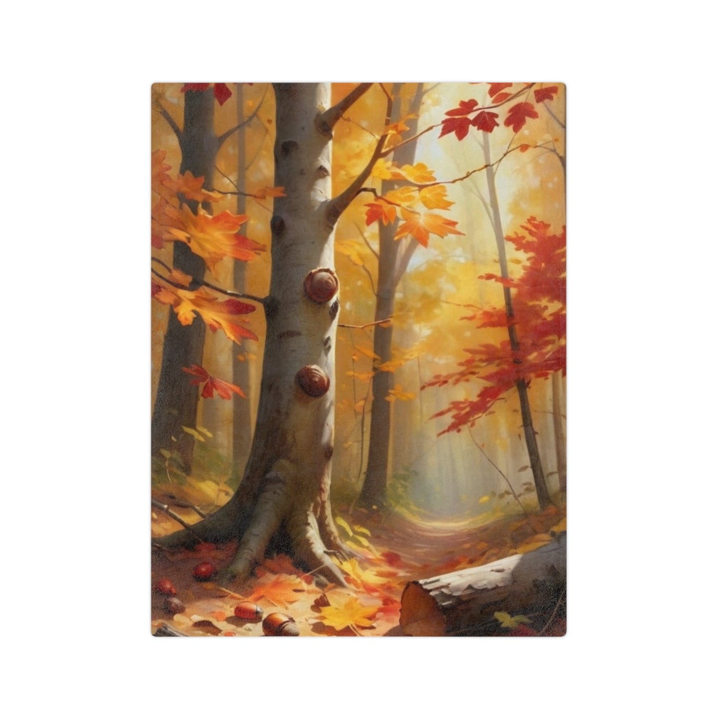 Cozy Autumn Forest Velveteen Blanket