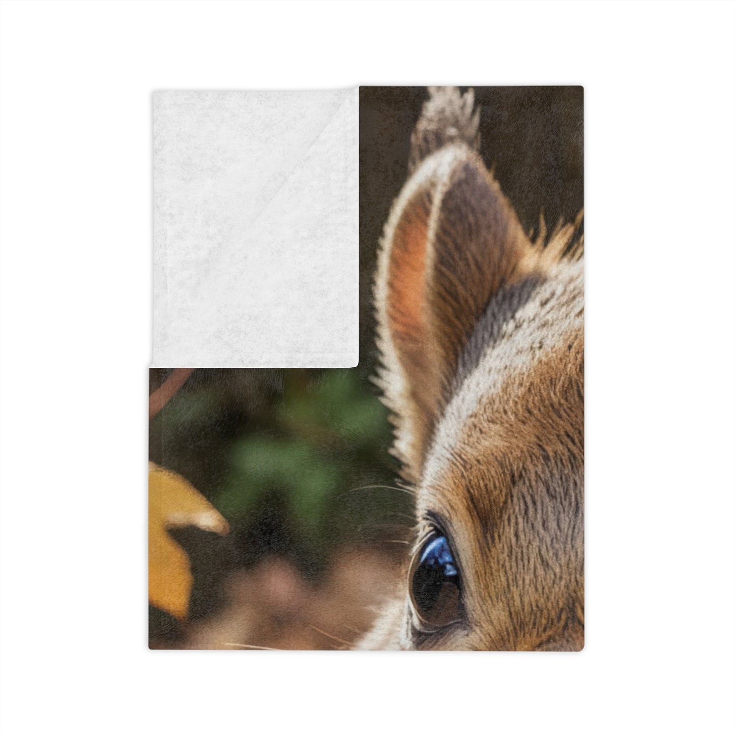Adorable Autumn Squirrel Velveteen Blanket